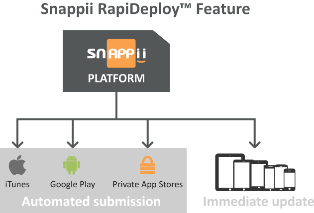 SnAPPii Development Process